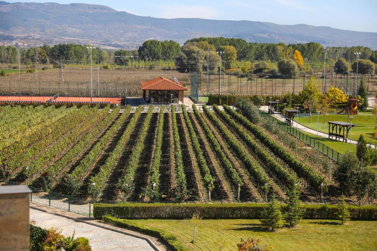 Uva Nestum Wine&SPA Goze Deltschew Exterior foto