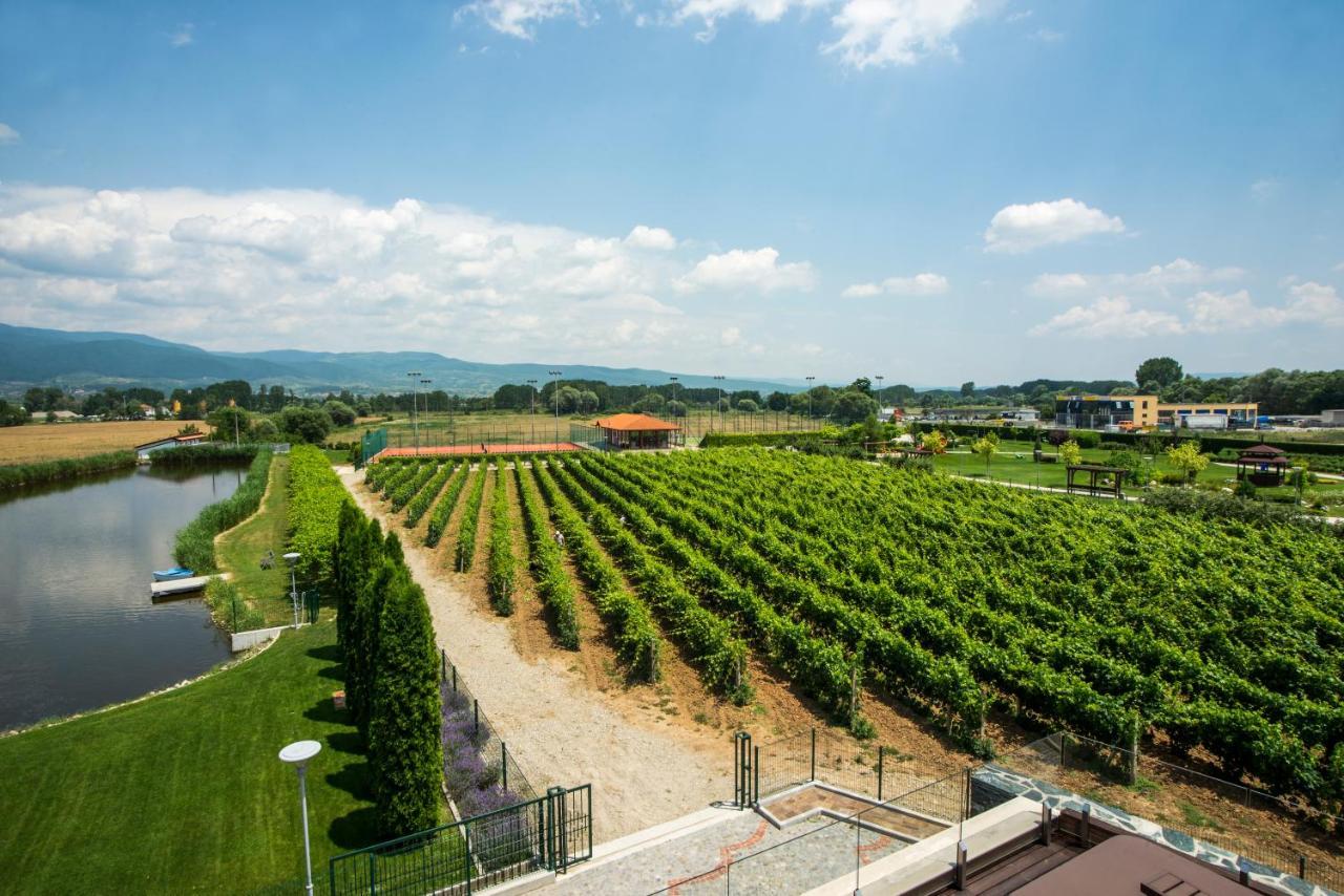 Uva Nestum Wine&SPA Goze Deltschew Exterior foto