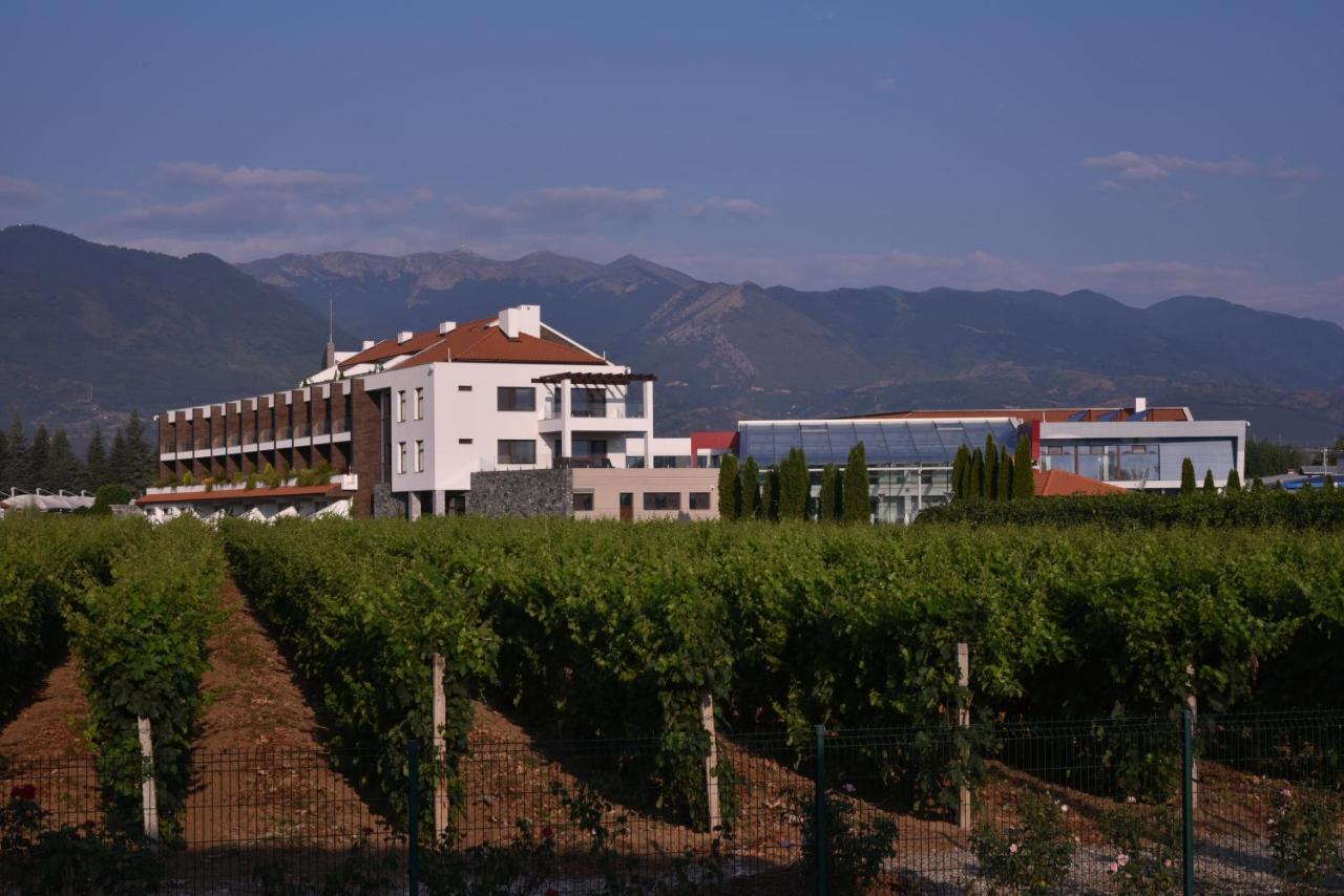 Uva Nestum Wine&SPA Goze Deltschew Exterior foto